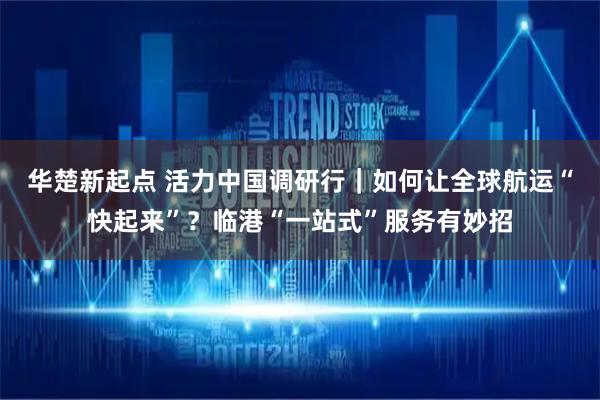 华楚新起点 活力中国调研行｜如何让全球航运“快起来”？临港“一站式”服务有妙招