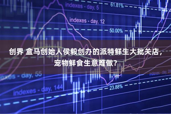 创界 盒马创始人侯毅创办的派特鲜生大批关店，宠物鲜食生意难做？