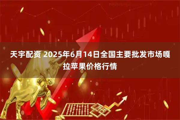 天宇配资 2025年6月14日全国主要批发市场嘎拉苹果价格行情
